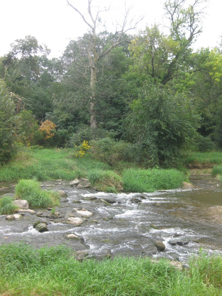 Piscasaw Creek