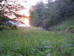 Walking up a spring creek at dawn does resembles what I imagine heaven to look like.